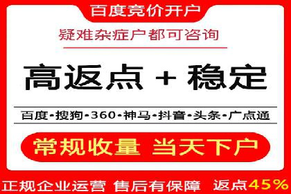 顶级SEM服务公司案例解析